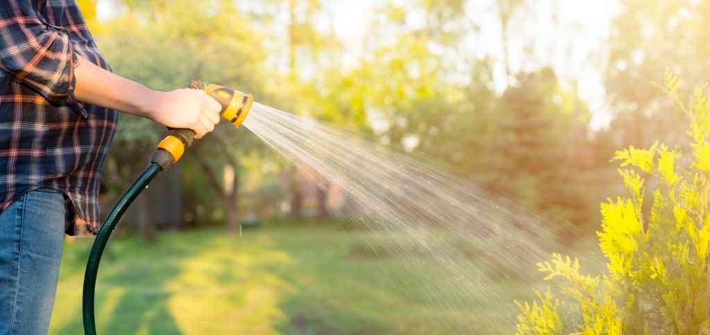 How Often to Water Your Lawn in Summer: 5 Things to Know