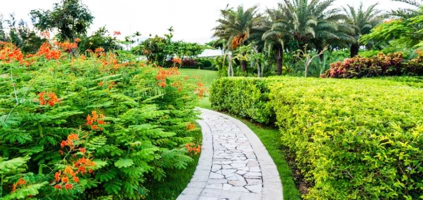 walkway of curved bricks