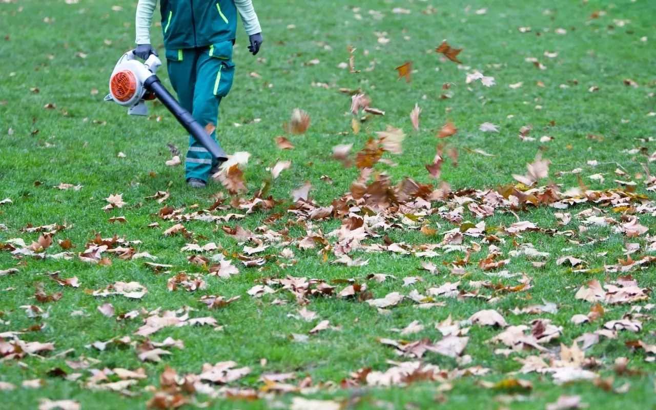 Seasonal Lawn Care Tools