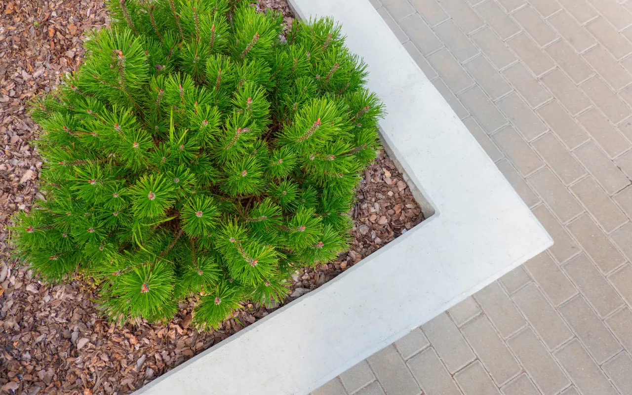 Maintaining mulch in a garden bed to ensure plant health.