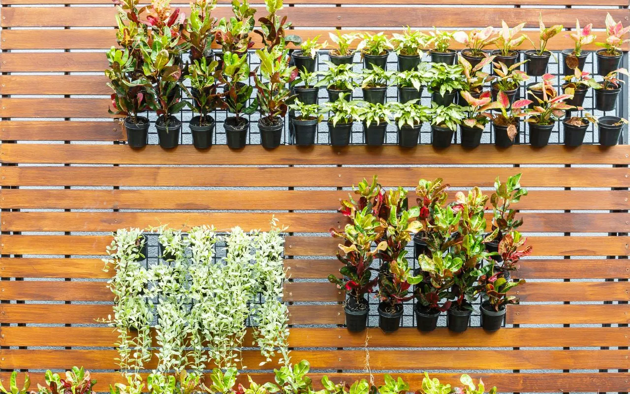 Vertical Gardens in Lexington Park, MD.